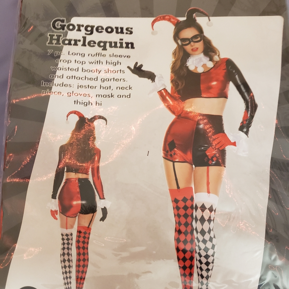 Harley Quinn Costume